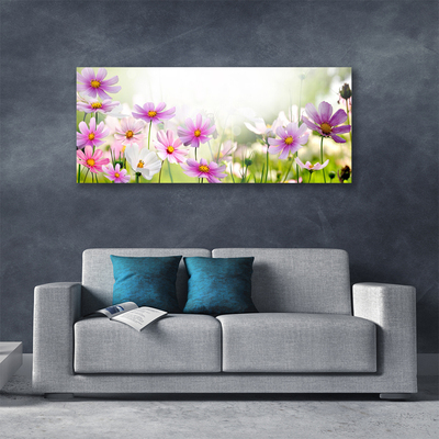 Quadro canvas Flores Planta Natureza