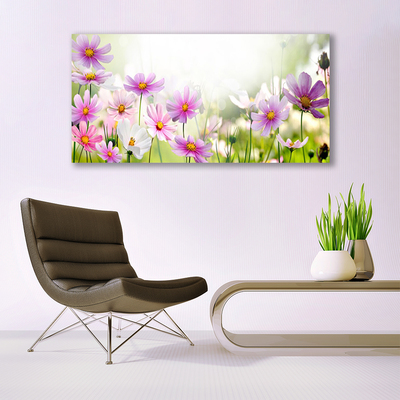 Quadro canvas Flores Planta Natureza