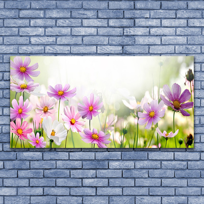 Quadro canvas Flores Planta Natureza