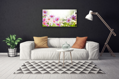 Quadro canvas Flores Planta Natureza
