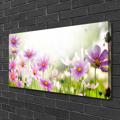 Quadro canvas Flores Planta Natureza