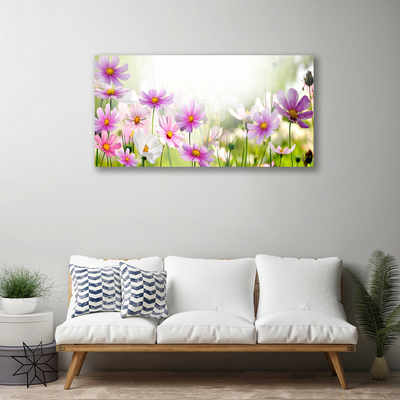 Quadro canvas Flores Planta Natureza