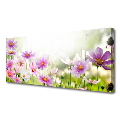 Quadro canvas Flores Planta Natureza