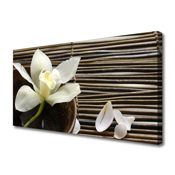 Quadro canvas Flor Planta Natureza