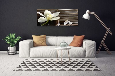 Quadro canvas Flor Planta Natureza