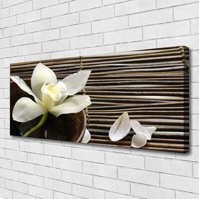 Quadro canvas Flor Planta Natureza