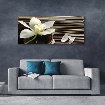 Quadro canvas Flor Planta Natureza