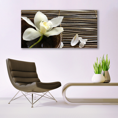 Quadro canvas Flor Planta Natureza