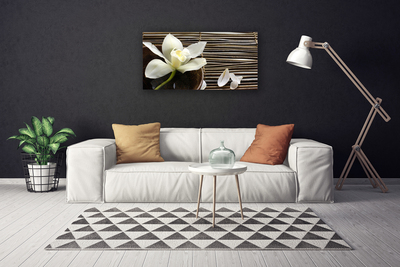 Quadro canvas Flor Planta Natureza