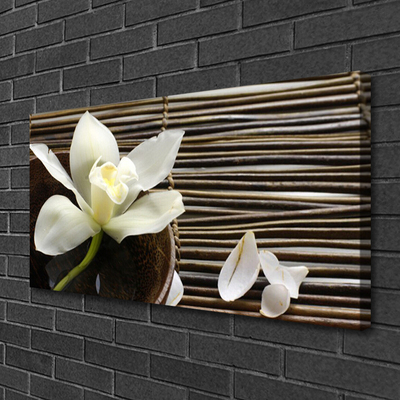 Quadro canvas Flor Planta Natureza