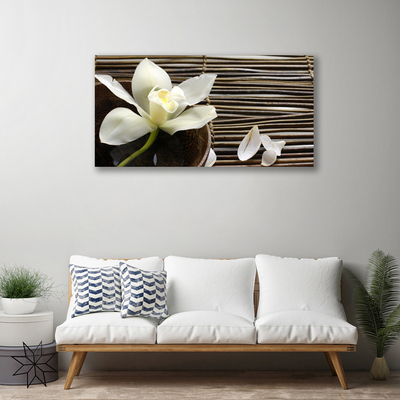 Quadro canvas Flor Planta Natureza