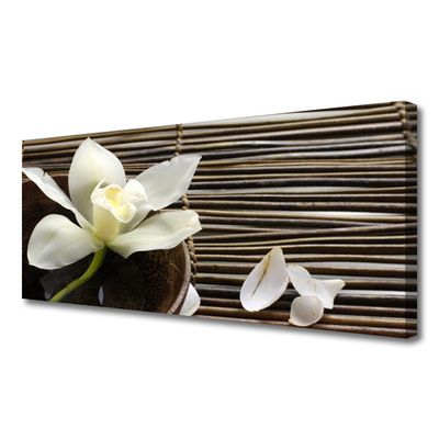 Quadro canvas Flor Planta Natureza