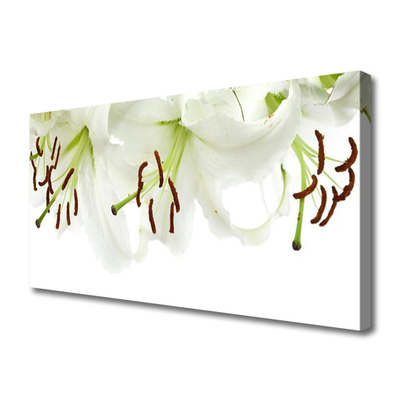 Quadro canvas Flores Planta Natureza