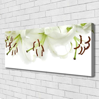 Quadro canvas Flores Planta Natureza