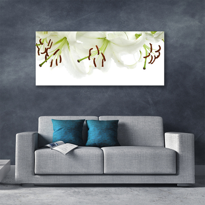 Quadro canvas Flores Planta Natureza