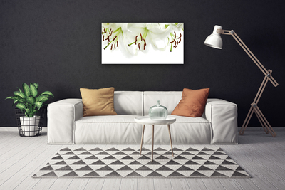 Quadro canvas Flores Planta Natureza