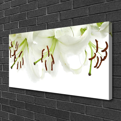 Quadro canvas Flores Planta Natureza