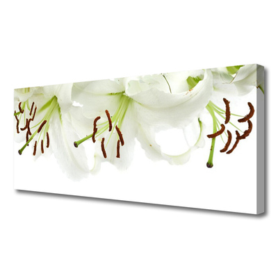 Quadro canvas Flores Planta Natureza
