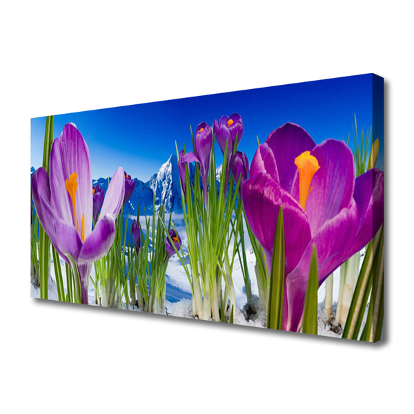 Quadro canvas Flores Planta Natureza