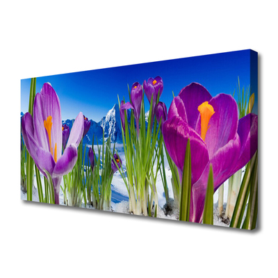 Quadro canvas Flores Planta Natureza