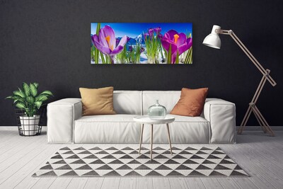 Quadro canvas Flores Planta Natureza