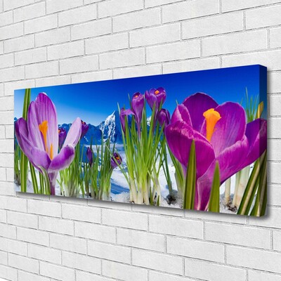 Quadro canvas Flores Planta Natureza