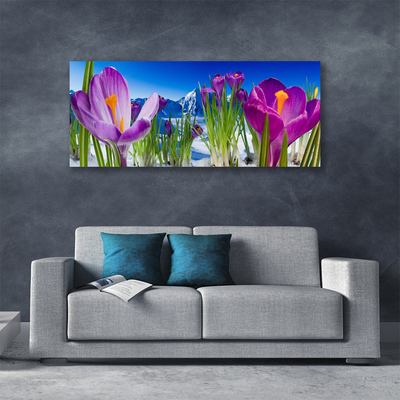Quadro canvas Flores Planta Natureza