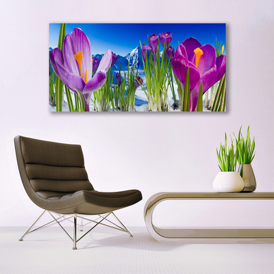 Quadro canvas Flores Planta Natureza