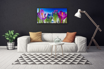 Quadro canvas Flores Planta Natureza