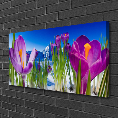 Quadro canvas Flores Planta Natureza