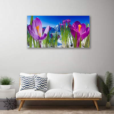 Quadro canvas Flores Planta Natureza