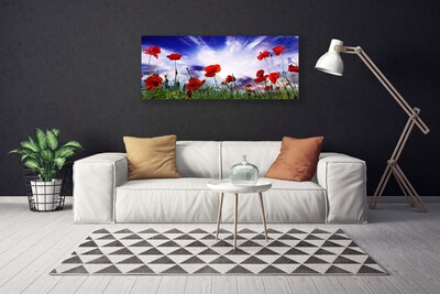 Quadro em tela Papoulas Plantam Natureza