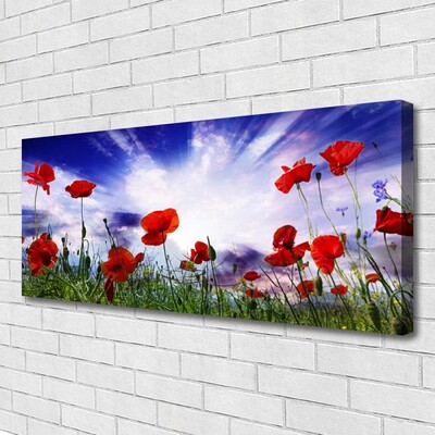 Quadro em tela Papoulas Plantam Natureza
