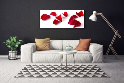 Quadro canvas Pétalas Planta Natureza