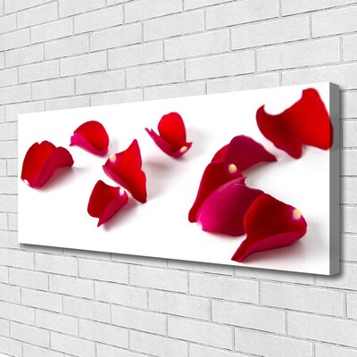 Quadro canvas Pétalas Planta Natureza