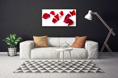 Quadro canvas Pétalas Planta Natureza