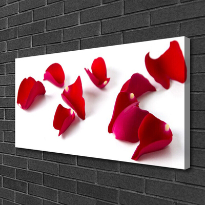 Quadro canvas Pétalas Planta Natureza