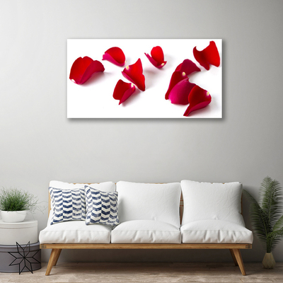 Quadro canvas Pétalas Planta Natureza