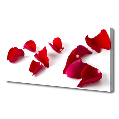 Quadro canvas Pétalas Planta Natureza