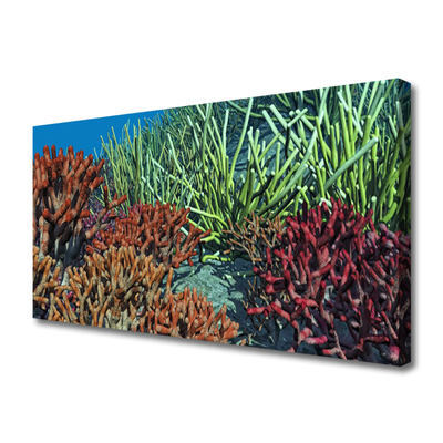 Quadro canvas Natureza dos recifes de corais