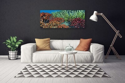 Quadro canvas Natureza dos recifes de corais