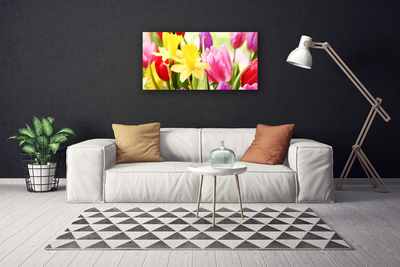 Quadro em tela Flores Planta Natureza