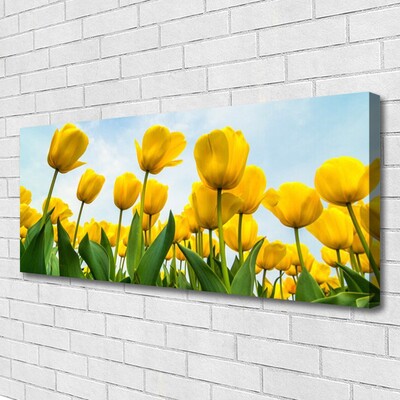 Quadro em tela Tulipas Flores Planta