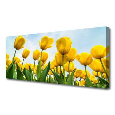 Quadro em tela Tulipas Flores Planta