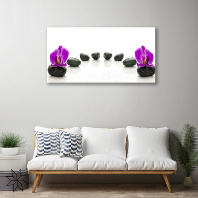 Quadro em tela Orquídeas de flores Seixos