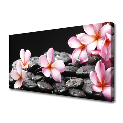 Quadro em tela Flor de Plumeria para a Parede