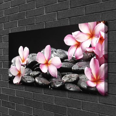 Quadro em tela Flor de Plumeria para a Parede