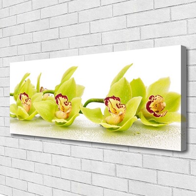 Quadro canvas Flores Planta Natureza