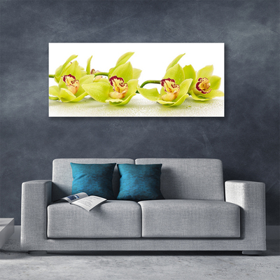 Quadro canvas Flores Planta Natureza
