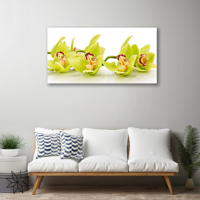 Quadro canvas Flores Planta Natureza